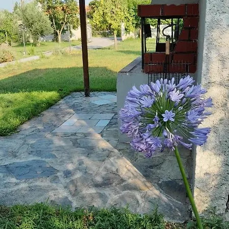 Gorjelina 's House
