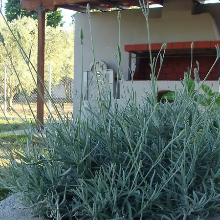Gorjelina 's House Volos