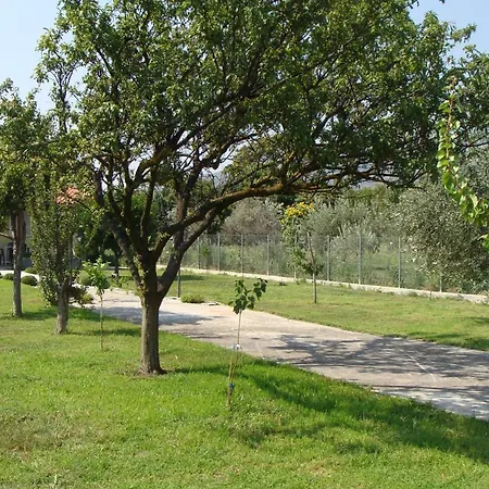 Holiday home Gorjelina 's House Volos
