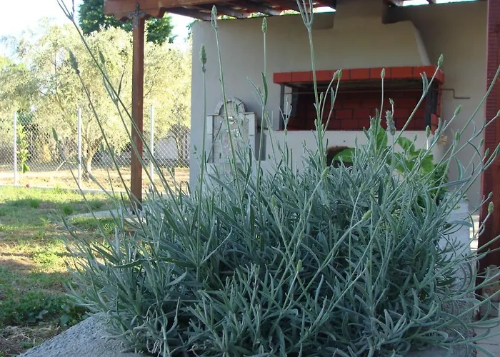 Gorjelina 's House Wolos